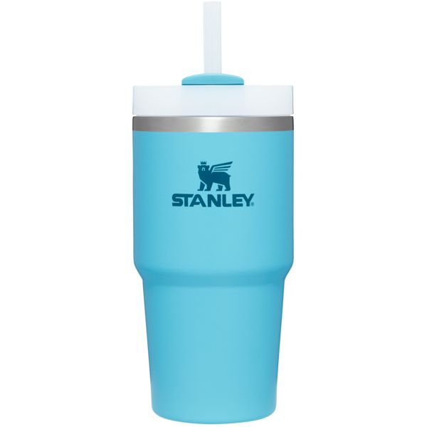 Stanley The Quencher H2.0 FlowState™ Tumbler 20 OZ Blue | USA-OAZ862953