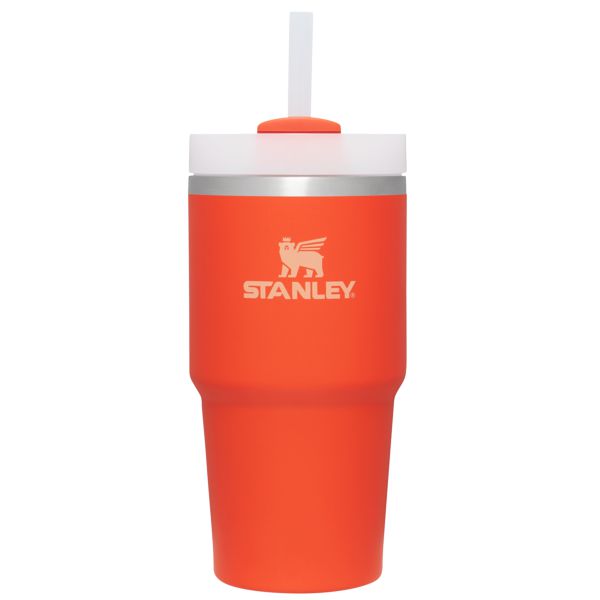 Stanley The Quencher H2.0 FlowState™ Tumbler 20 OZ Orange | USA-WNZ827394