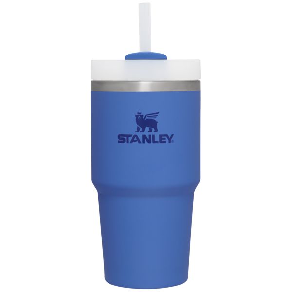 Stanley The Quencher H2.0 FlowState™ Tumbler 20 OZ Blue | USA-AEQ590418