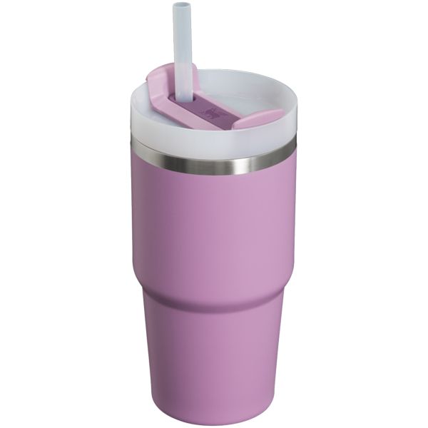 Stanley The Quencher H2.0 FlowState™ Tumbler 20 OZ Purple | USA-SZC640725