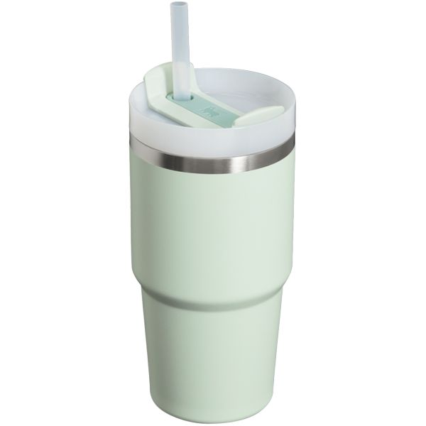 Stanley The Quencher H2.0 FlowState™ Tumbler 20 OZ Light Green | USA-XGW460127