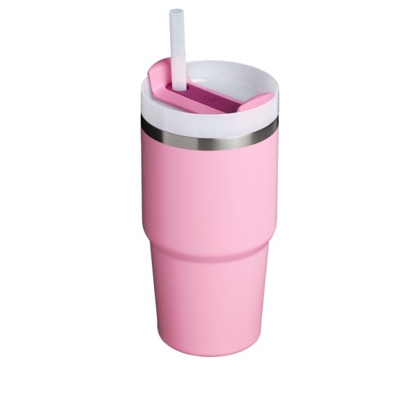 Stanley The Quencher H2.0 FlowState™ Tumbler 20 OZ Pink | USA-CVI014563