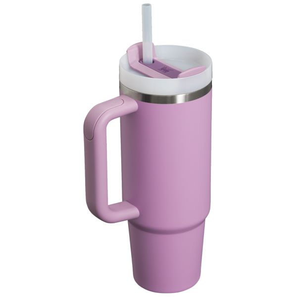 Stanley The Quencher H2.0 FlowState™ Tumbler 30 OZ Purple | USA-NFA952674