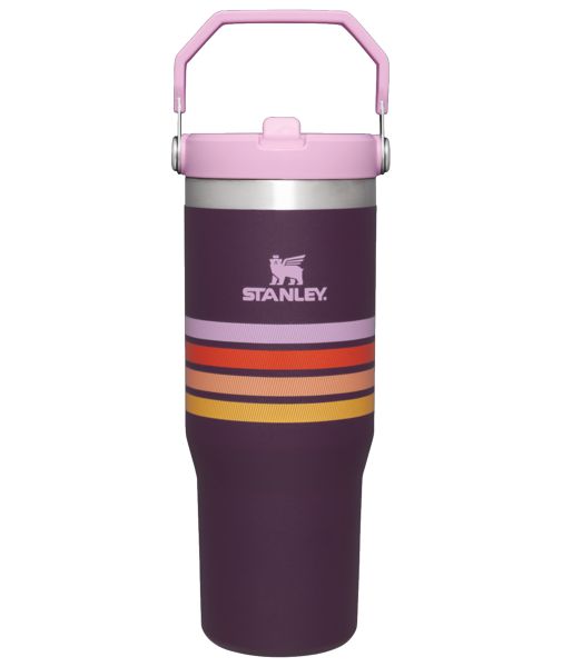 Stanley The Varsity Iceflow™ Flip Straw 30 OZ Tumbler Purple Stripes | USA-QLO609871